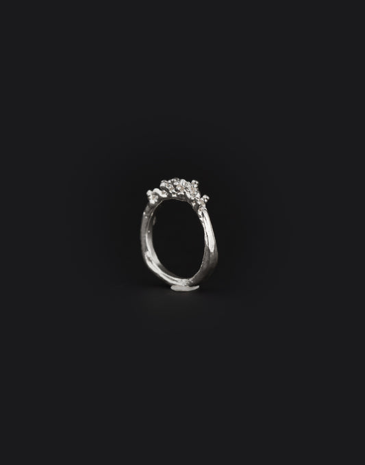 Island Ring 02